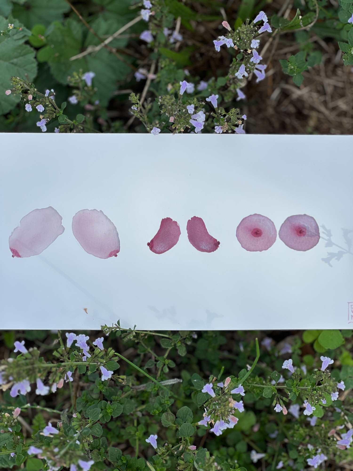 image — aquarelle au vin rouge — Art DiVino, La Londe-les-Maures