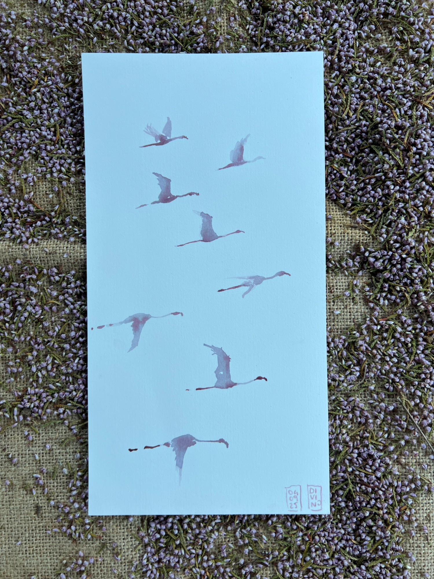 Flamands roses — aquarelle au vin rouge — Art DiVino, La Londe-les-Maures