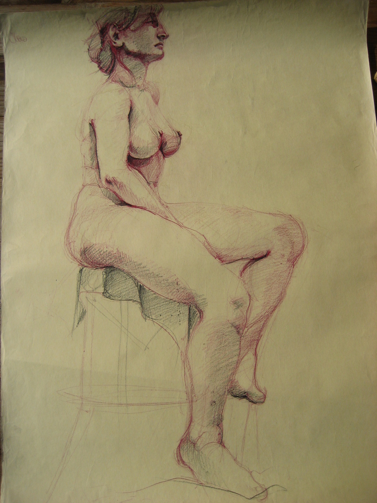 image — aquarelle au vin rouge — Art DiVino, La Londe-les-Maures